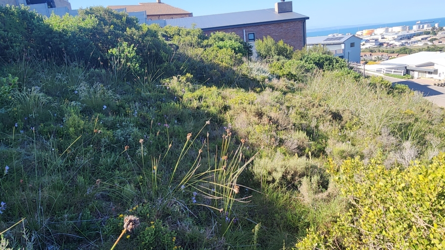 0 Bedroom Property for Sale in Island View Western Cape